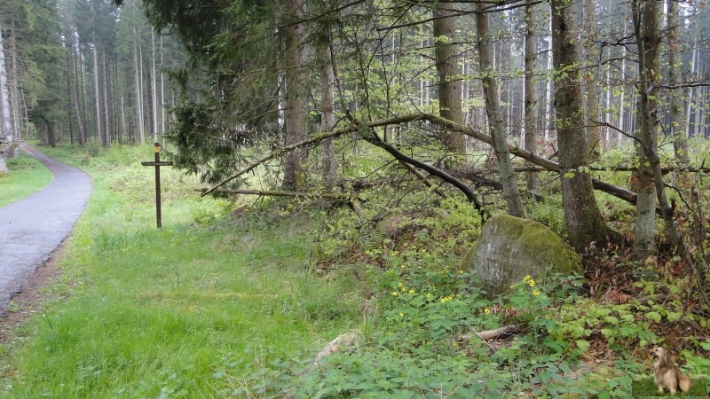 Ritterstein Nr. 192-5a Ruine Roesselbrunner Hof.JPG - Ritterstein Nr.192 Ruine Roesselsbrunner Hof